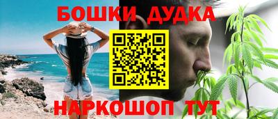 спиды Гай