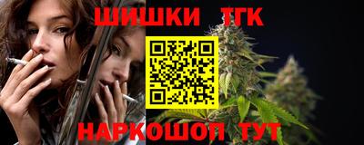 спиды Гай