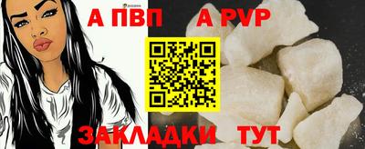 спиды Гай